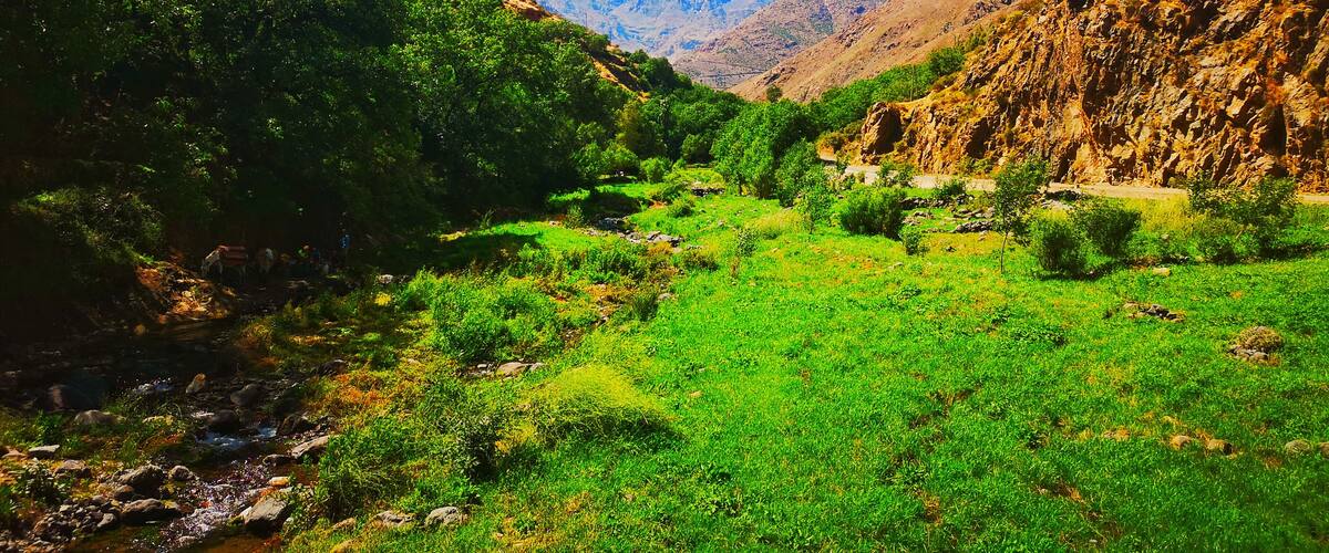 A mountainous valley with a stream, lush greenery, and distant peaks.
