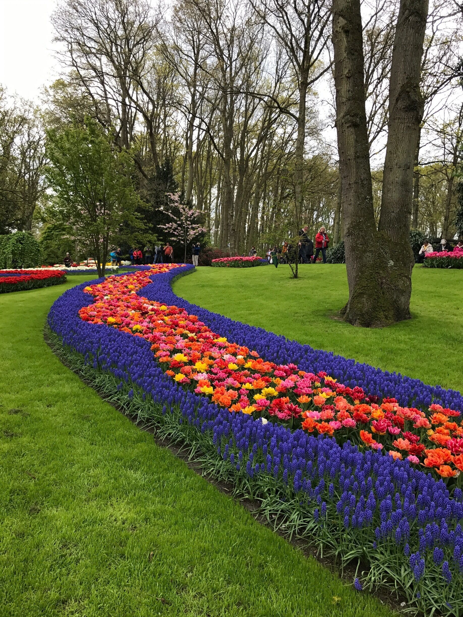 Keukenhof garden in Lisse near Amsterdam 