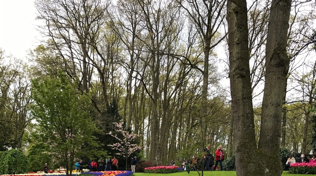 Keukenhof garden in Lisse near Amsterdam