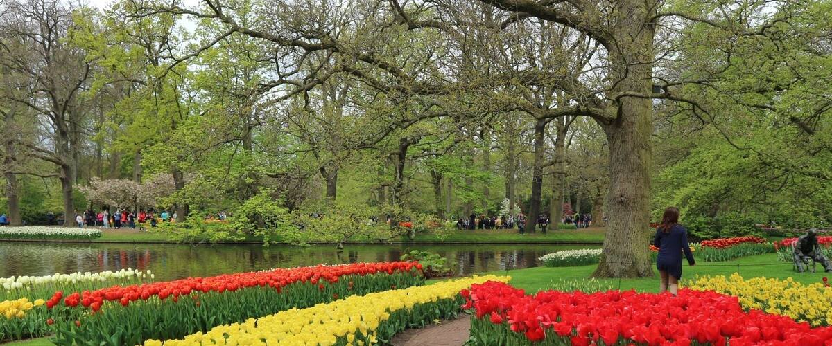What a beautiful Keukenhof garden. You should see it once in your life.