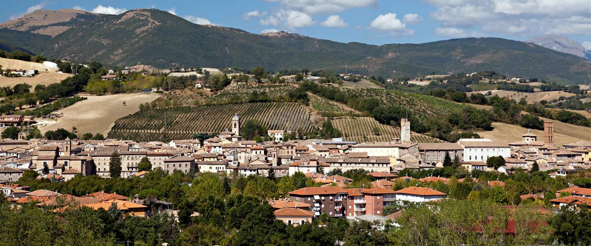A town with a prominent church tower, vineyards, and rolling hills in the background.