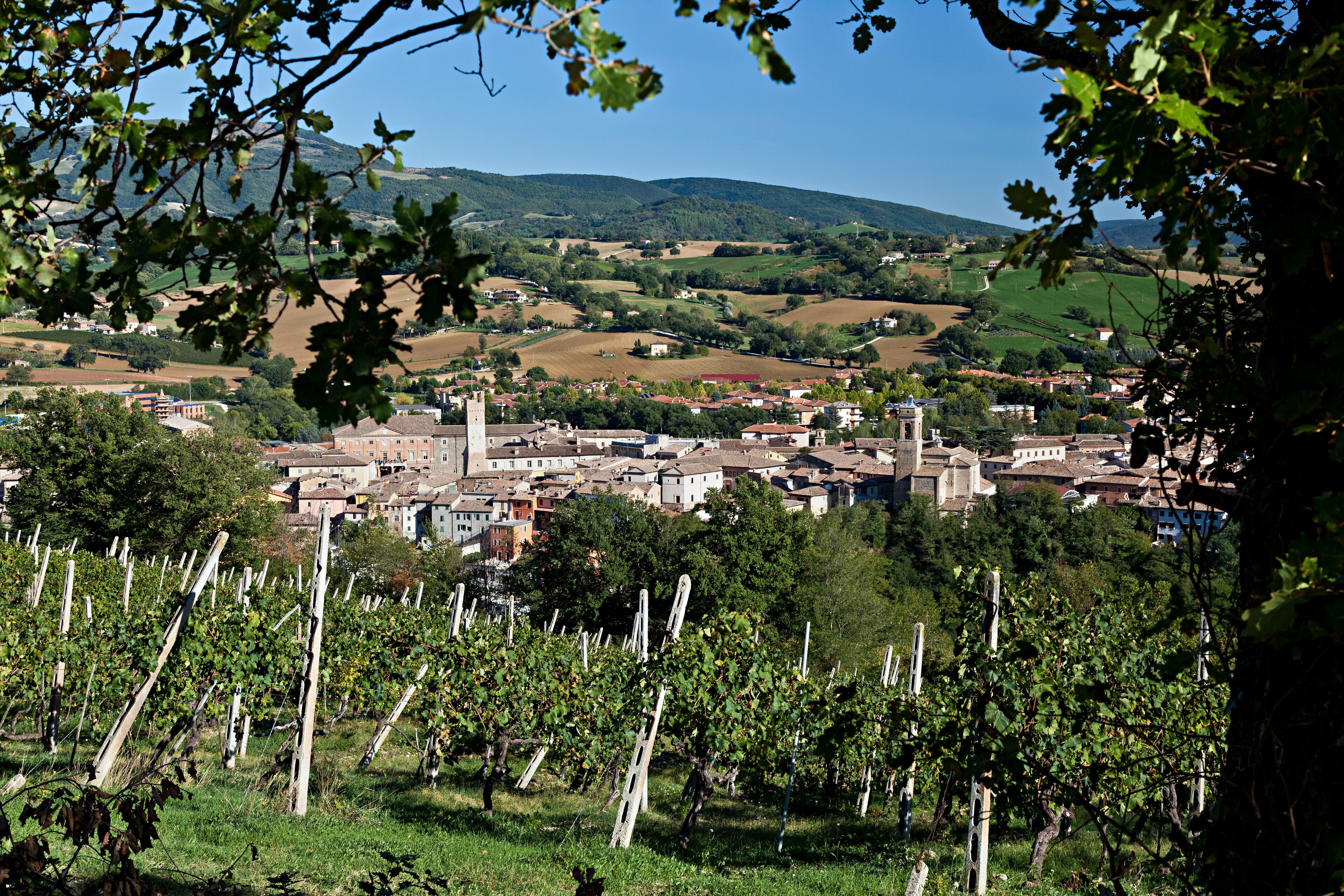 Matelica: Città del Verdicchio