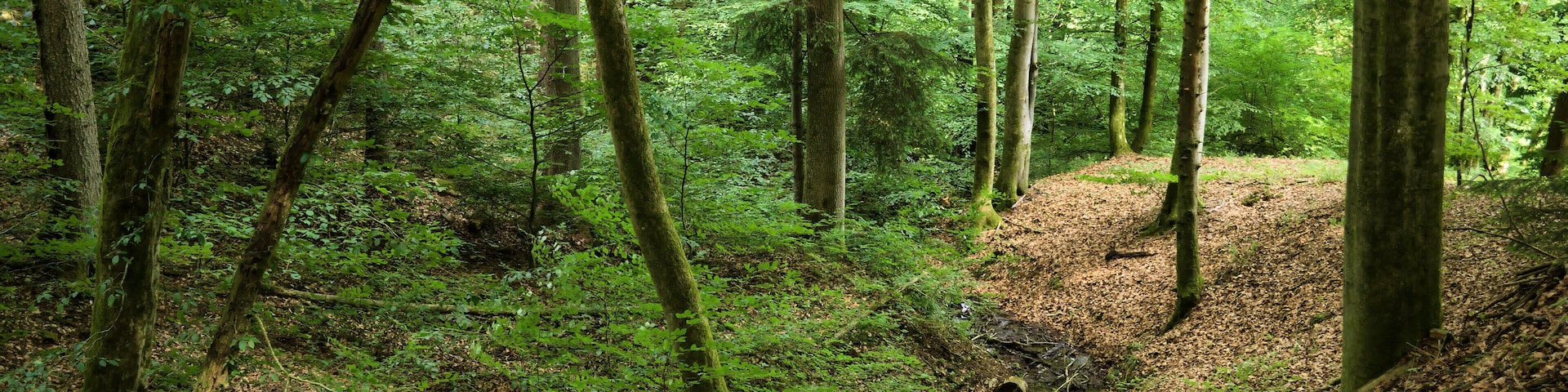 This image was uploaded as part of Wiki Loves Earth 2018.