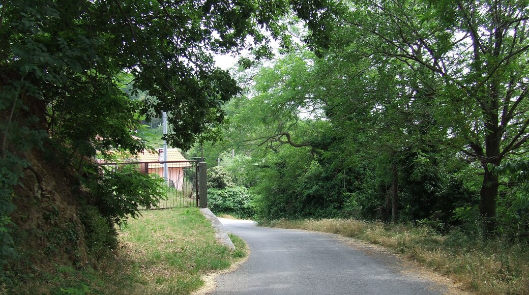 17012 Albissola Marina, Province of Savona, Italy