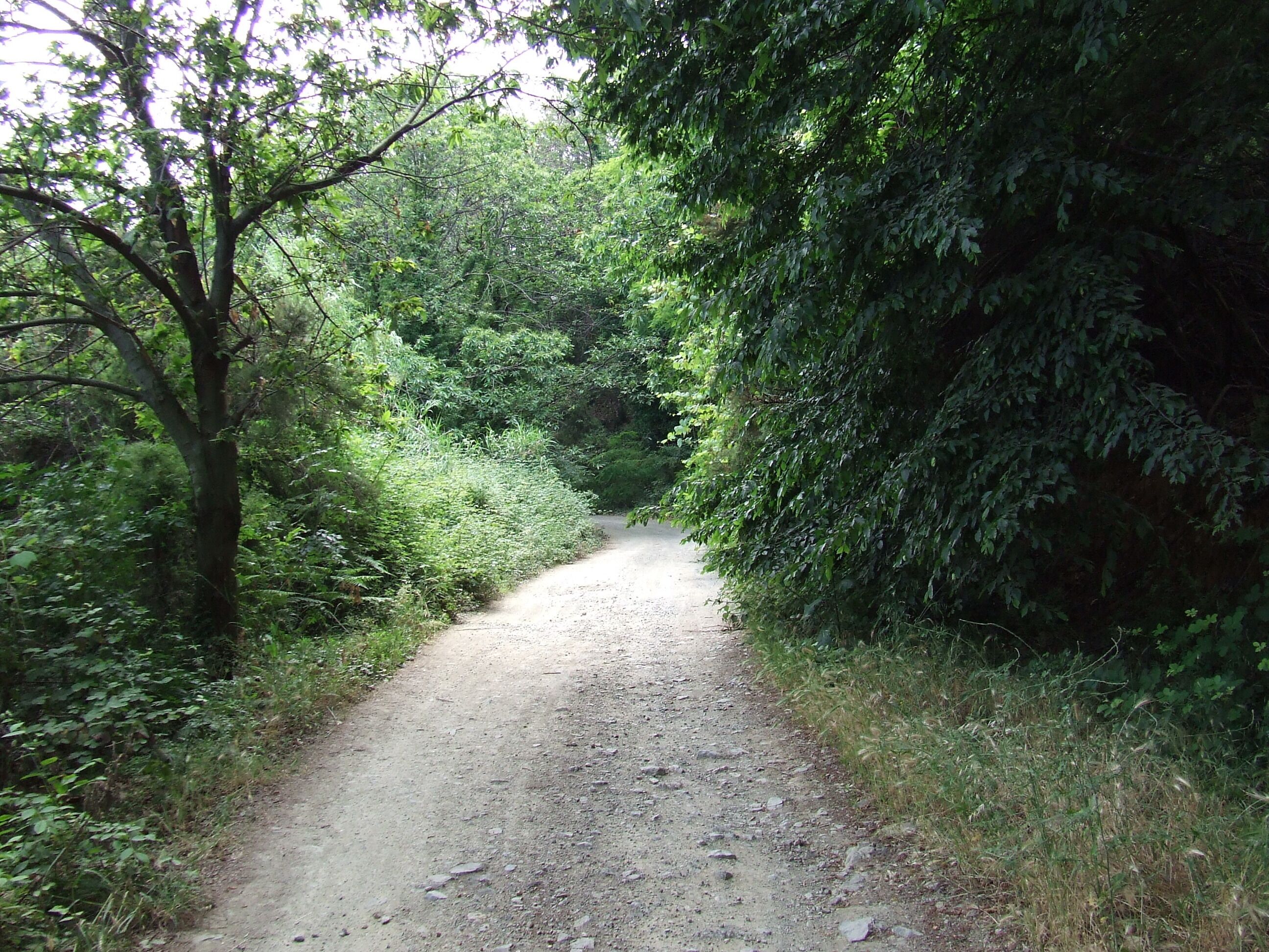 17012 Albissola Marina, Province of Savona, Italy