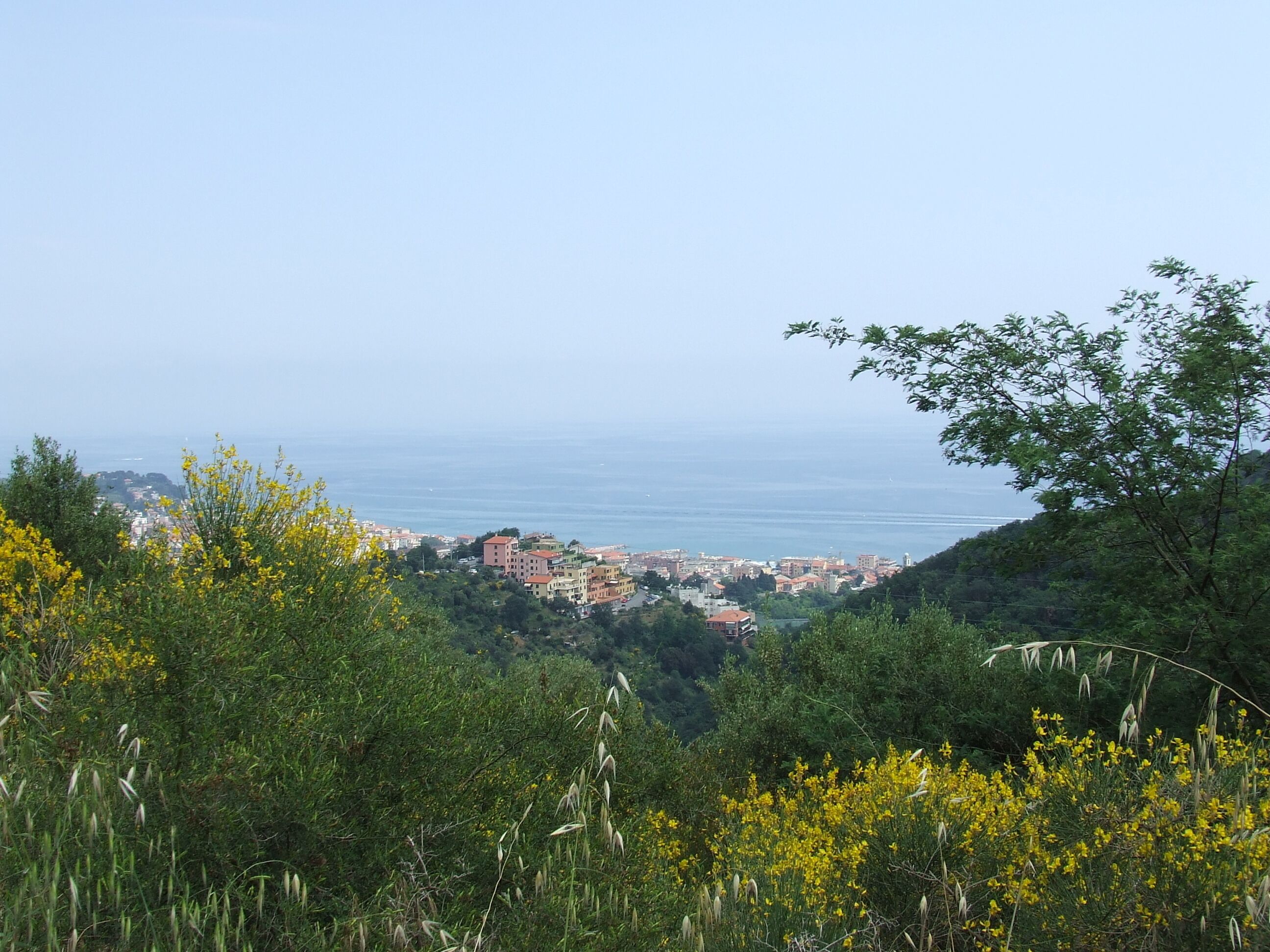 17012 Albissola Marina, Province of Savona, Italy