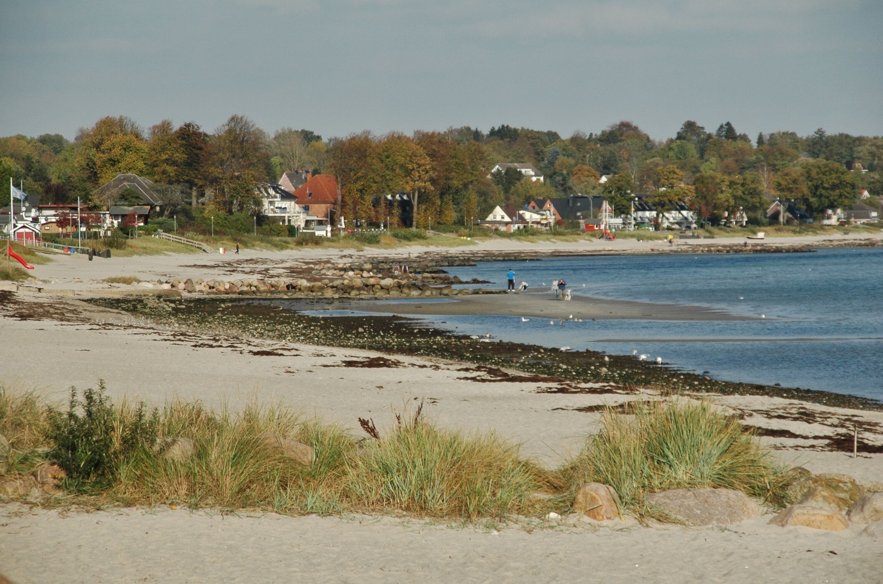 A beach with a rocky shoreline, houses, and trees in the background.