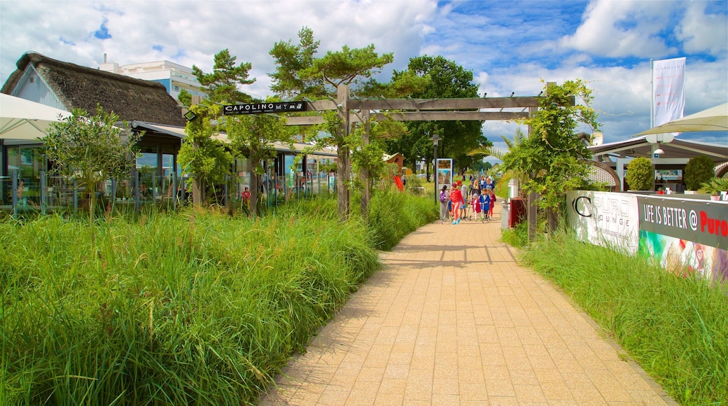 Scharbeutz showing a park as well as a small group of people