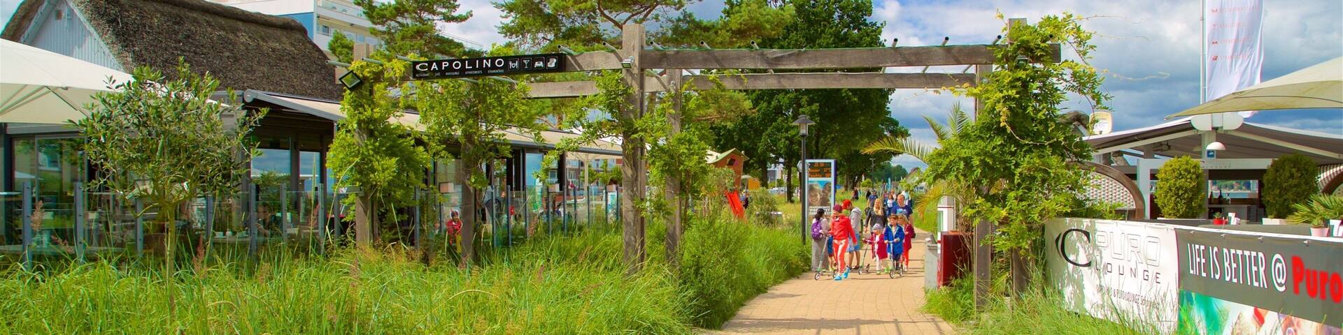 シャルボイツ どの含み 公園 及び 少数の人々
