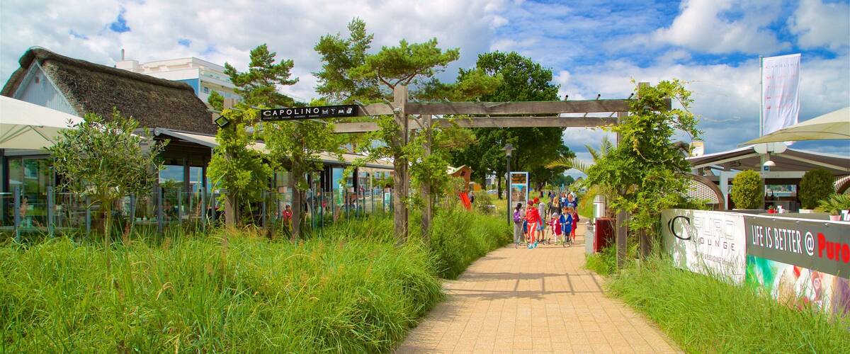 A pathway leading to a building labeled "Capolino."