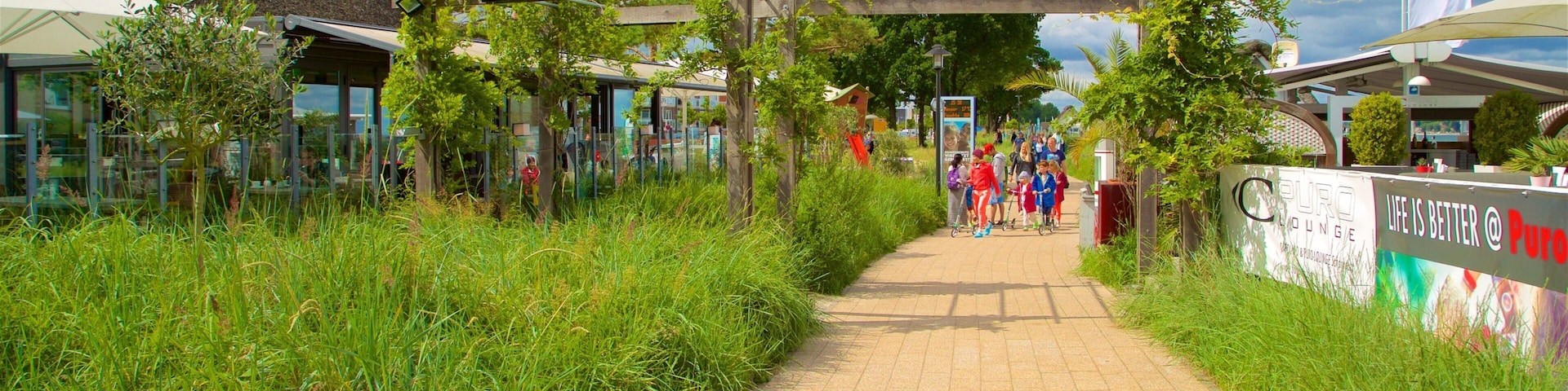 A pathway leading to a building labeled "Capolino."