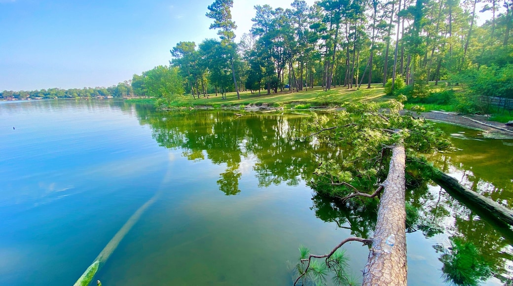 Aerial view of Lake Livingston State Park, Texas, USA.- landscape images