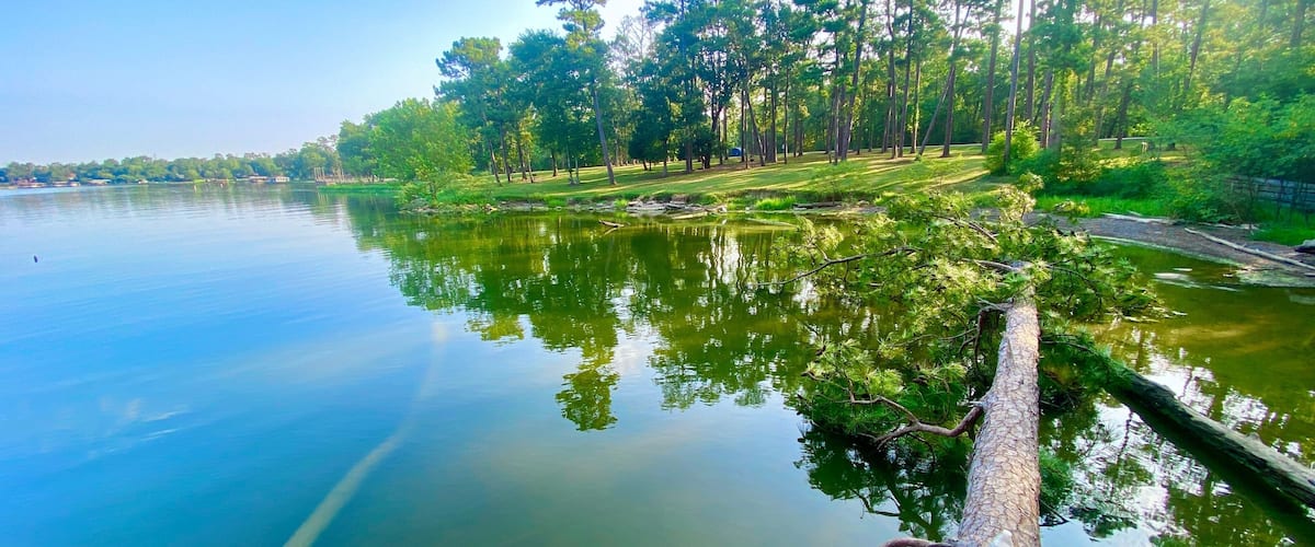 Aerial view of Lake Livingston State Park, Texas, USA.- landscape images