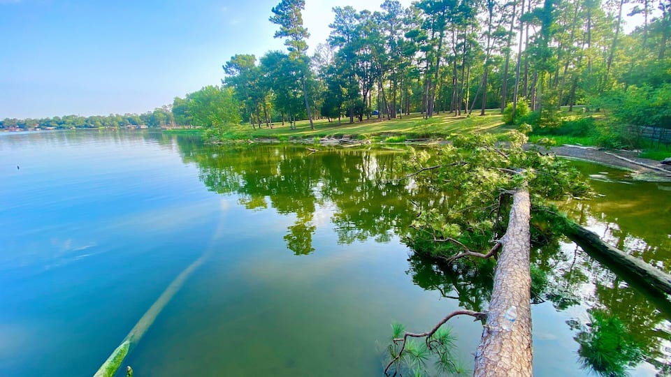 A calm river reflecting trees and a wooden structure.