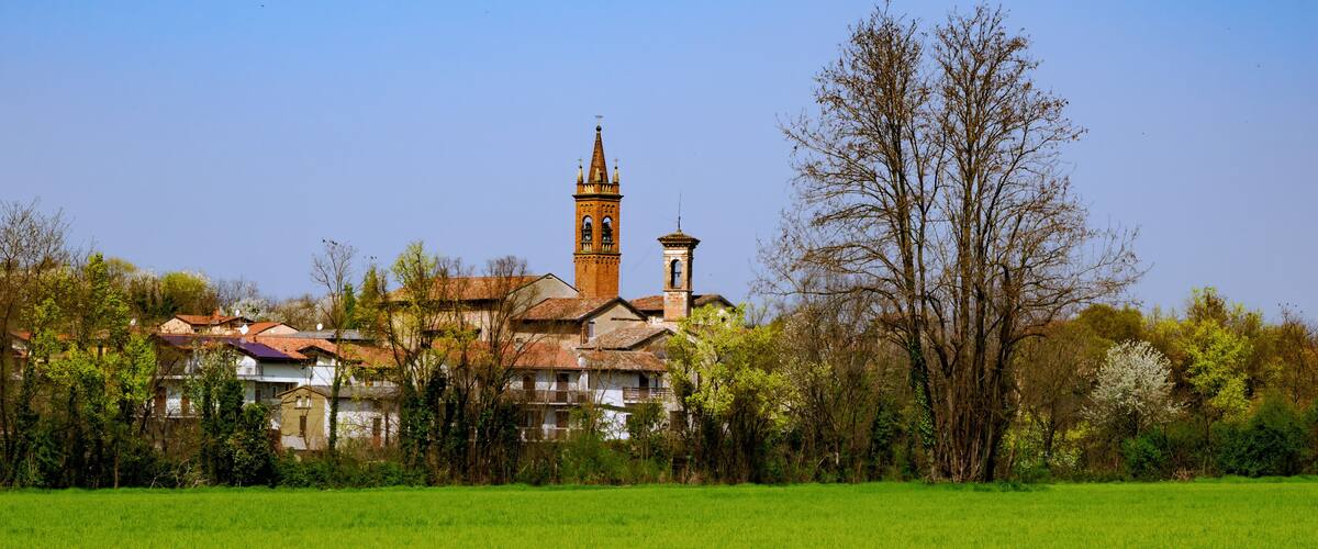 A church with a bell tower, surrounded by trees and a green field.