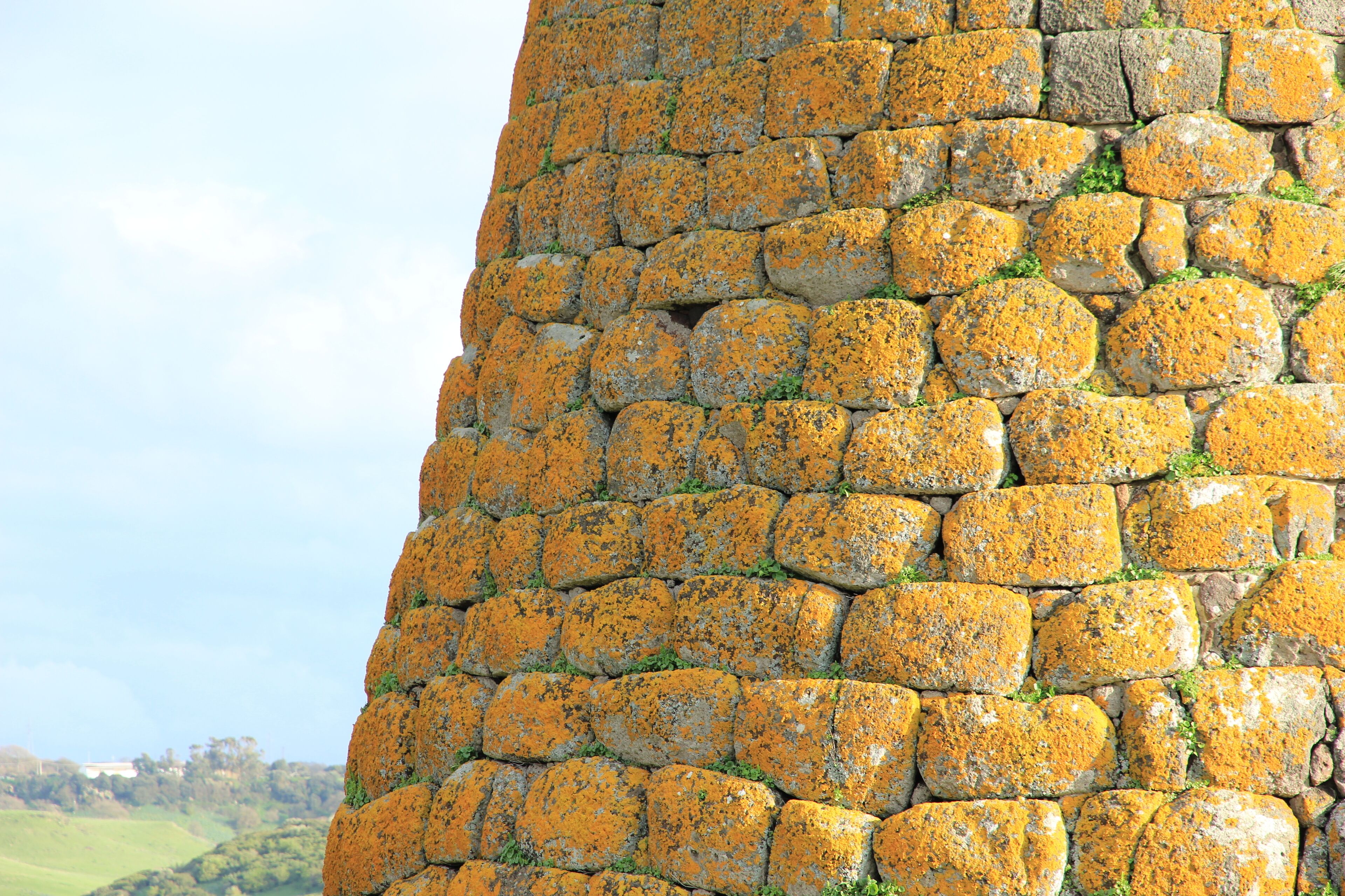 Codrongianos - Nuraghe Nieddu