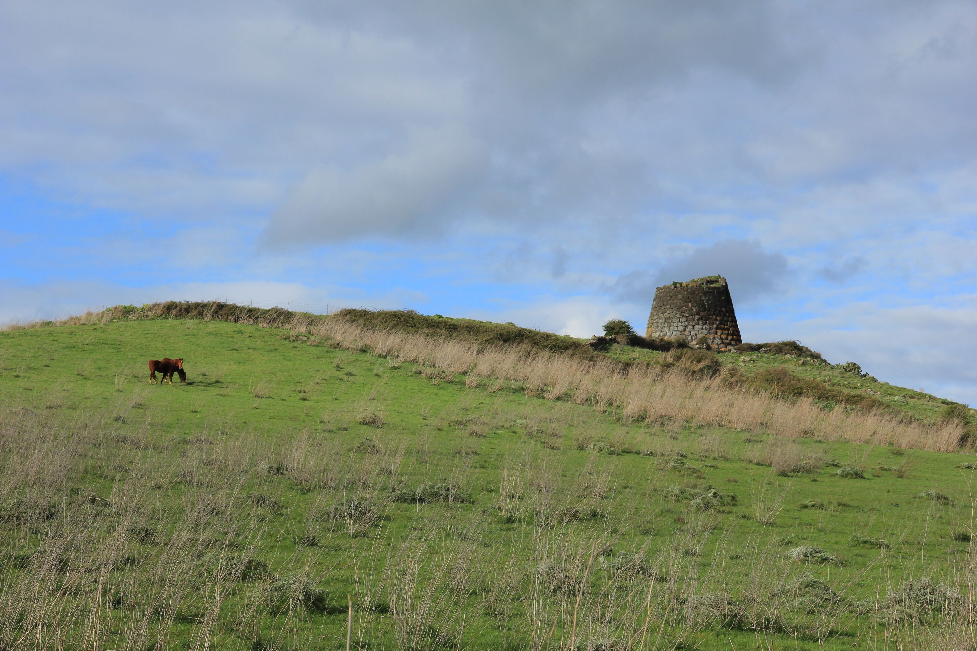 Codrongianos - Nuraghe Nieddu