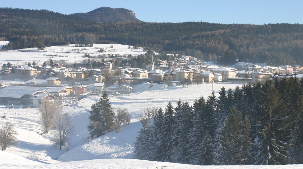 The little town of Cavareno, Val di Non, Trentino , Italy, isolated in the snow
