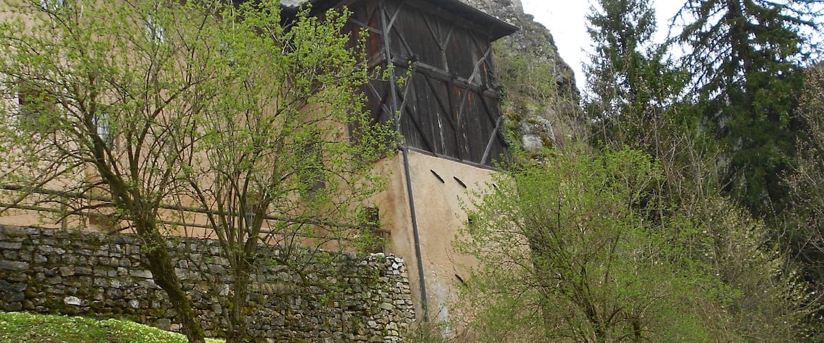 A castle with a tower, surrounded by trees and a grassy area with flowers.