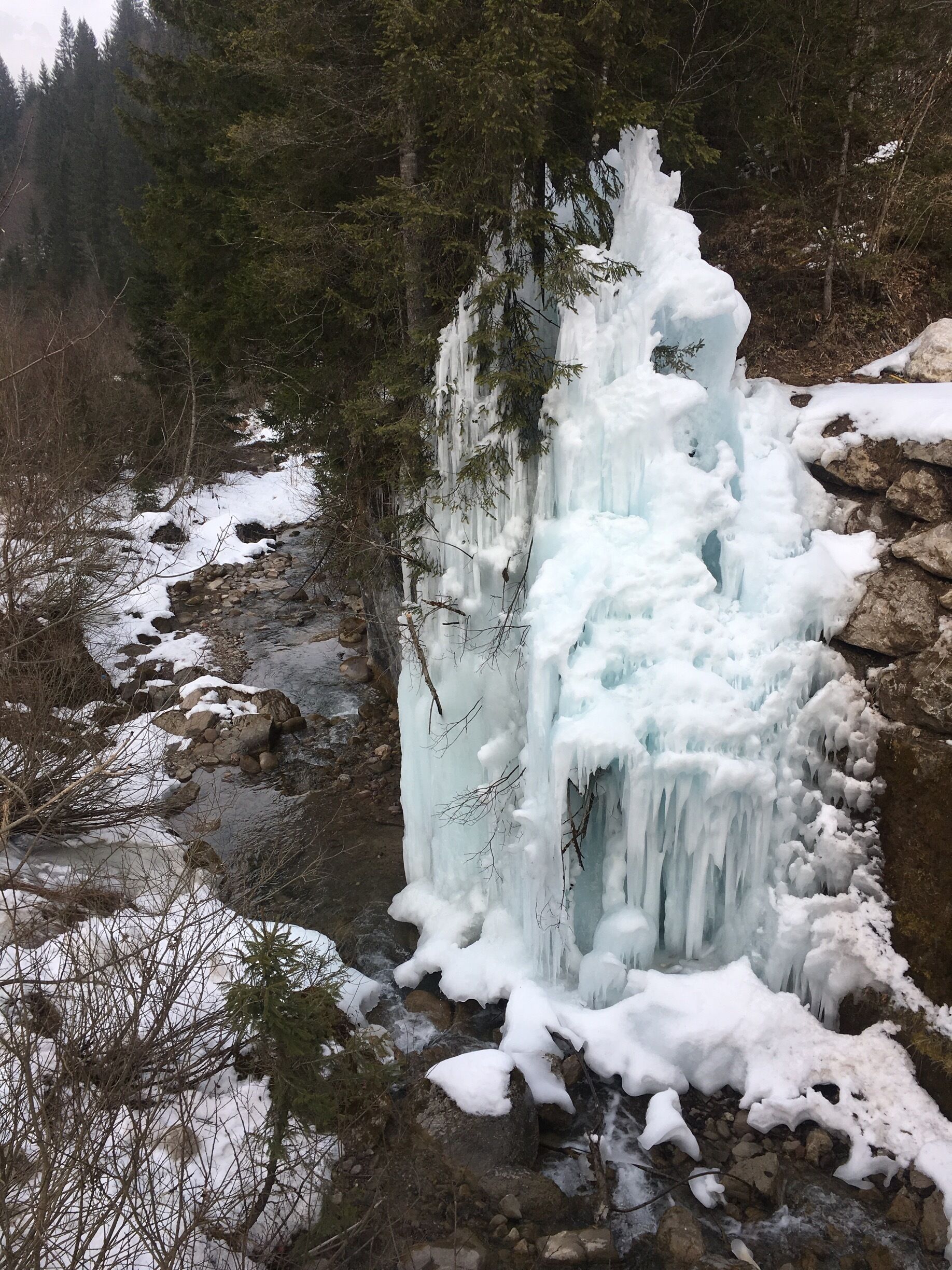 Natural Ice sculpture 