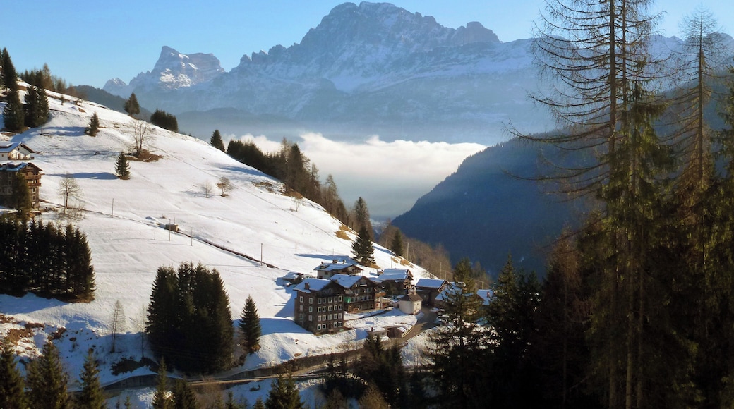 32020 Falcade, Province of Belluno, Italy