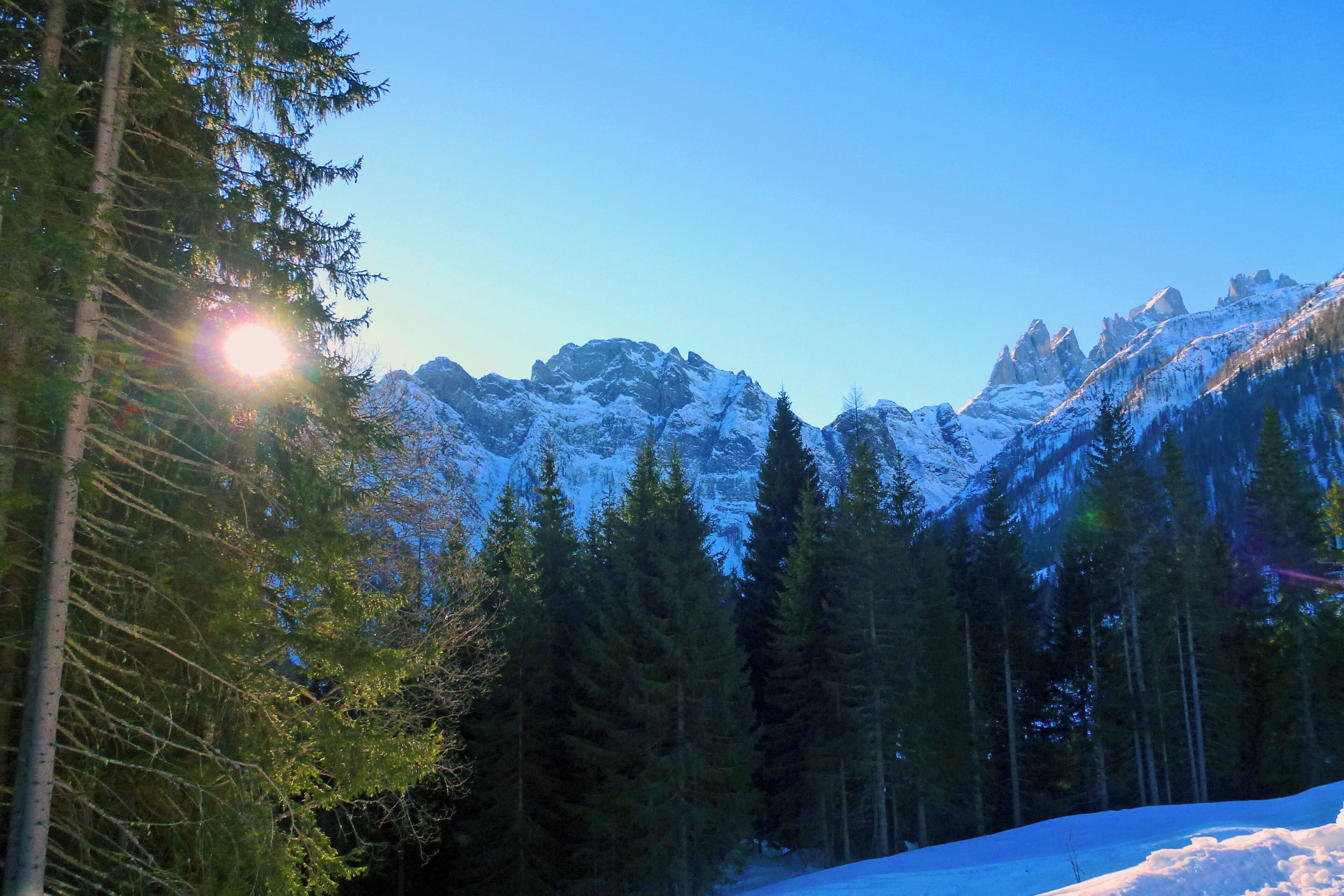 32020 Falcade, Province of Belluno, Italy