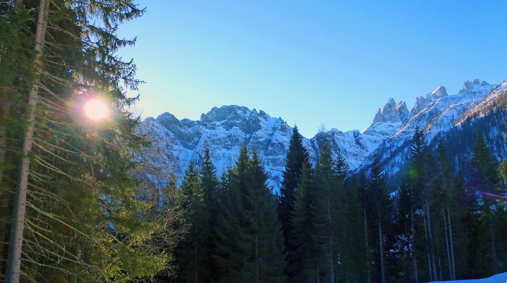 32020 Falcade, Province of Belluno, Italy