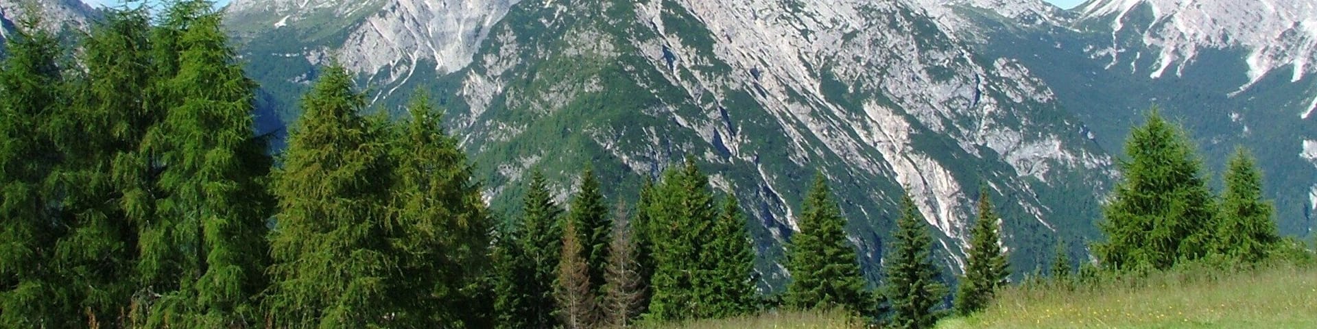 Antelao seen from Chiggiato hut., Calalzo di Cadore,Dolomites, Belluno, Italy