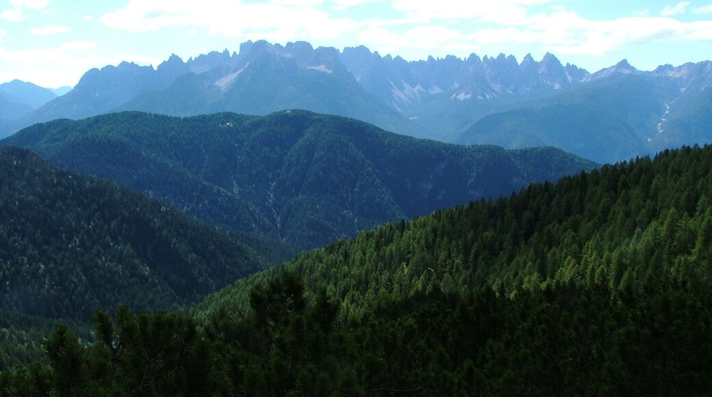 Spalti di Toro and Monfalconi seen from track to Baion hut, Domegge di Cadore, Dolomites, Italy.