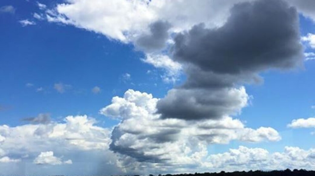 Sailing through the river