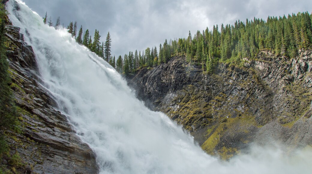 Looking up towards a fast flowing waterfall in the forest during a hike