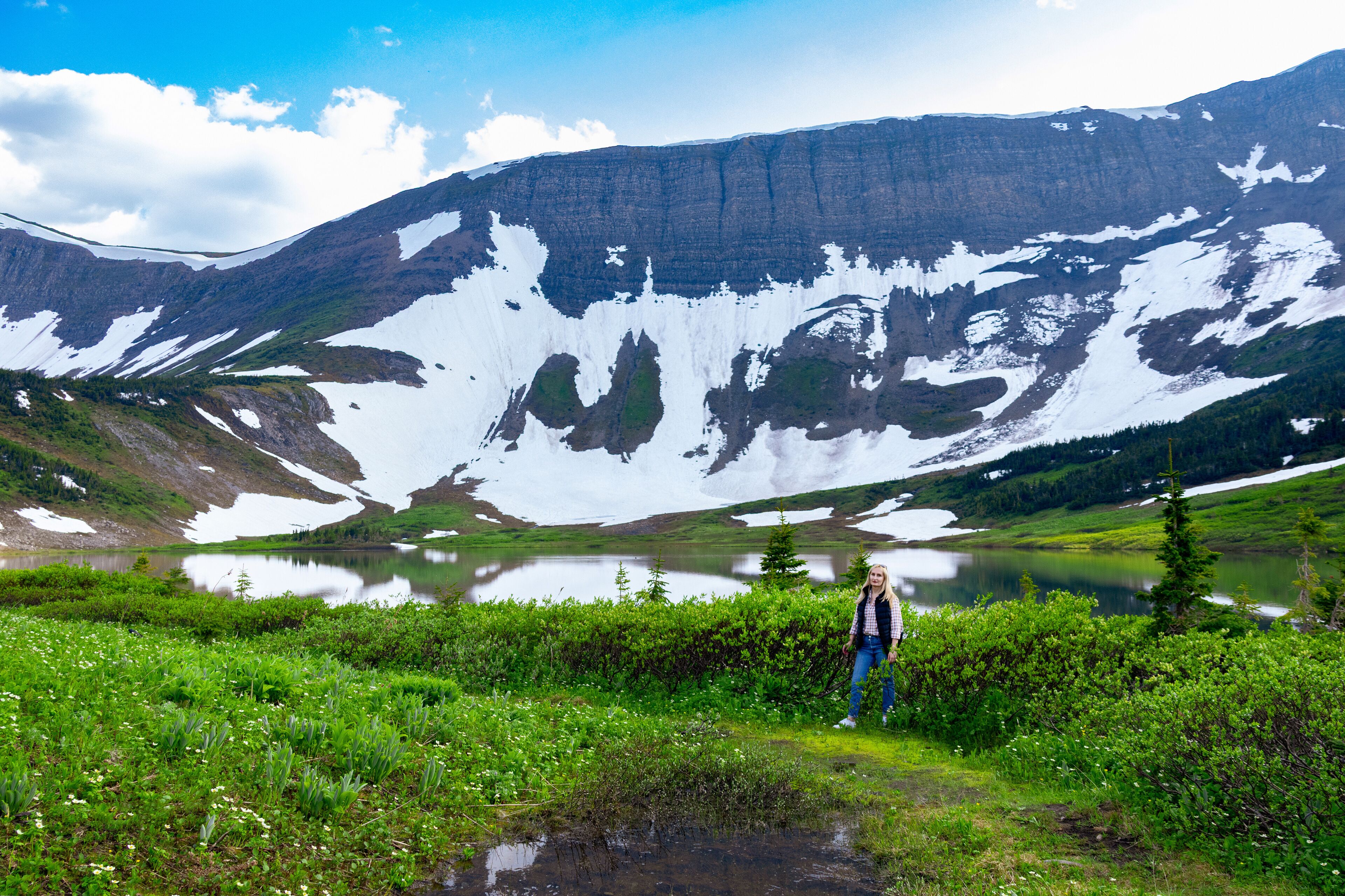 Scenic landscape of the beautiful lake among mountains covered with snow in spring and green foliage of willow and grasses. Female hiker standing. Tumbler Ridge geopark (Windfall lake), BC, Canada