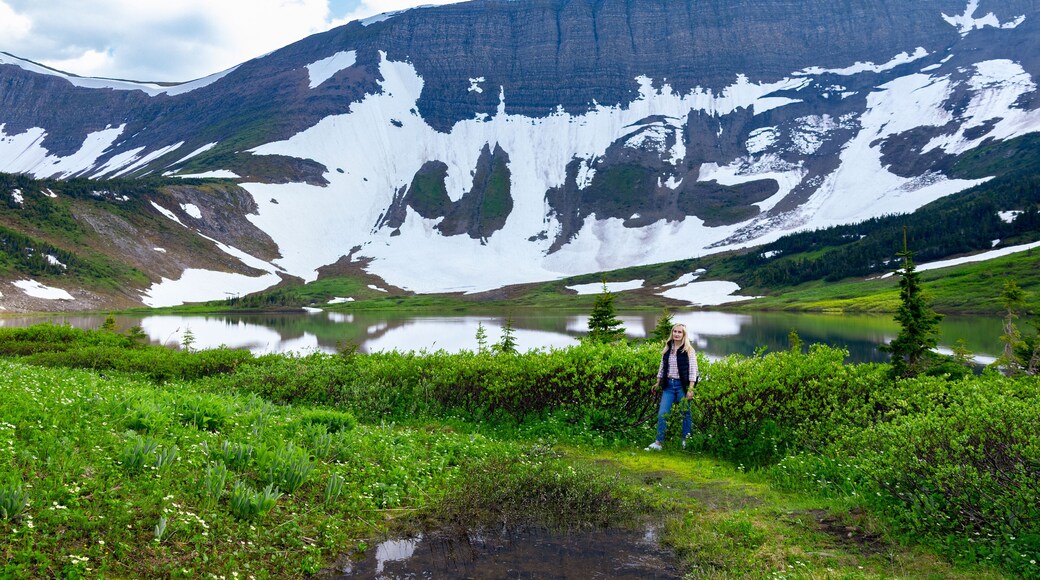 Scenic landscape of the beautiful lake among mountains covered with snow in spring and green foliage of willow and grasses. Female hiker standing. Tumbler Ridge geopark (Windfall lake), BC, Canada
