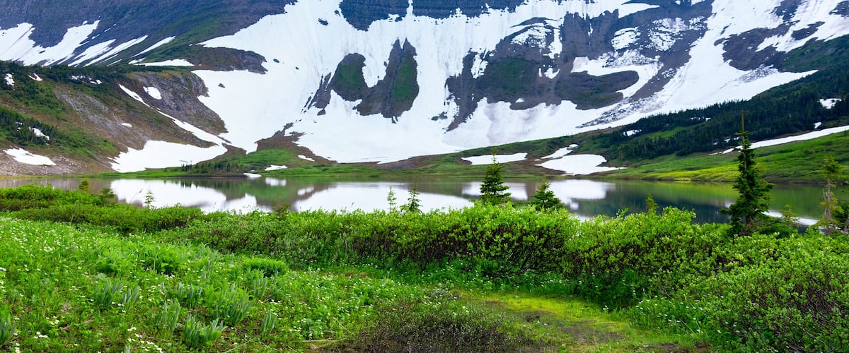 Scenic landscape of the beautiful lake among mountains covered with snow in spring and green foliage of willow and grasses. Tumbler Ridge geopark (Windfall lake), BC, Canada