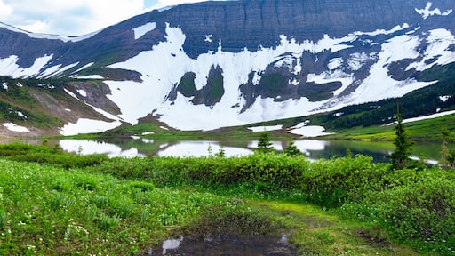 Scenic landscape of the beautiful lake among mountains covered with snow in spring and green foliage of willow and grasses. Tumbler Ridge geopark (Windfall lake), BC, Canada