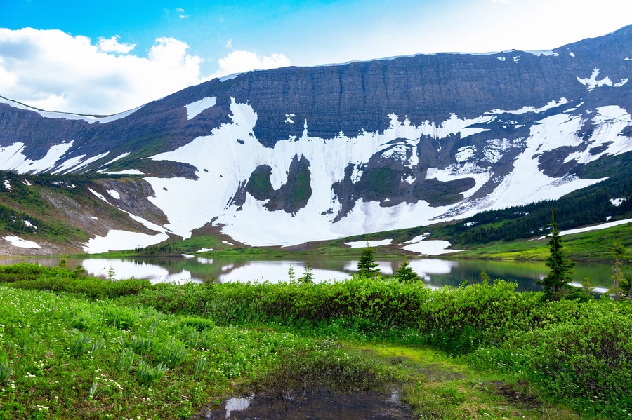Scenic landscape of the beautiful lake among mountains covered with snow in spring and green foliage of willow and grasses. Tumbler Ridge geopark (Windfall lake), BC, Canada