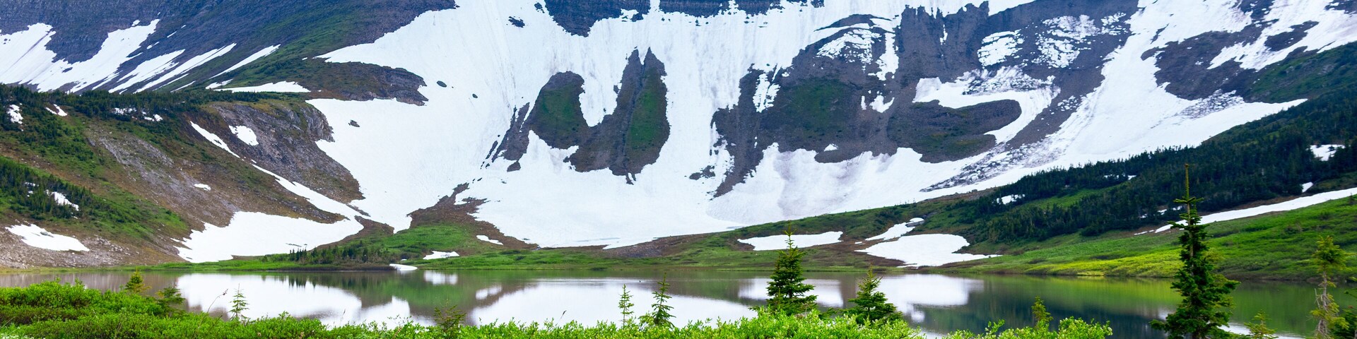 Scenic landscape of the beautiful lake among mountains covered with snow in spring and green foliage of willow and grasses. Tumbler Ridge geopark (Windfall lake), BC, Canada