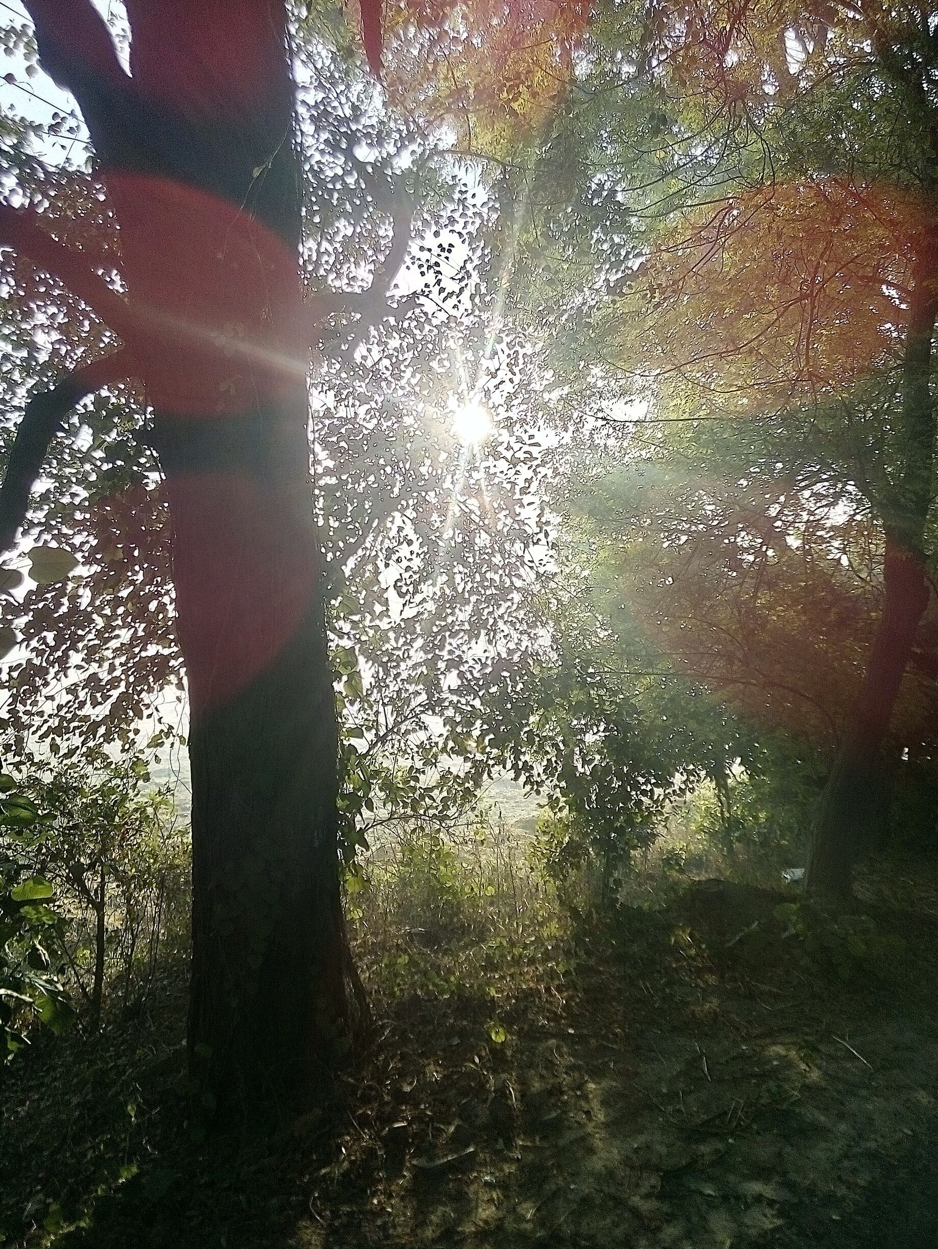 Morning View in winter, light is like hope from darkness