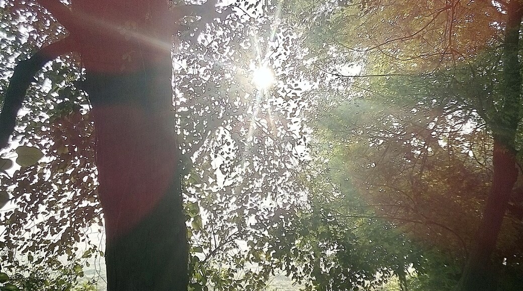 Morning View in winter, light is like hope from darkness