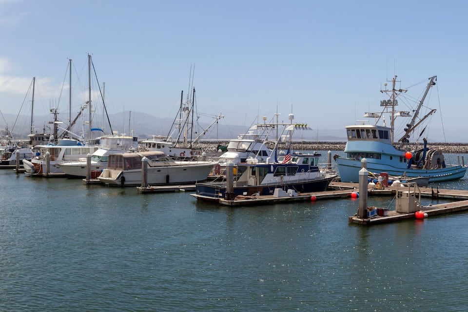 A marina with various boats docked, calm water, and a rocky shoreline in the background.