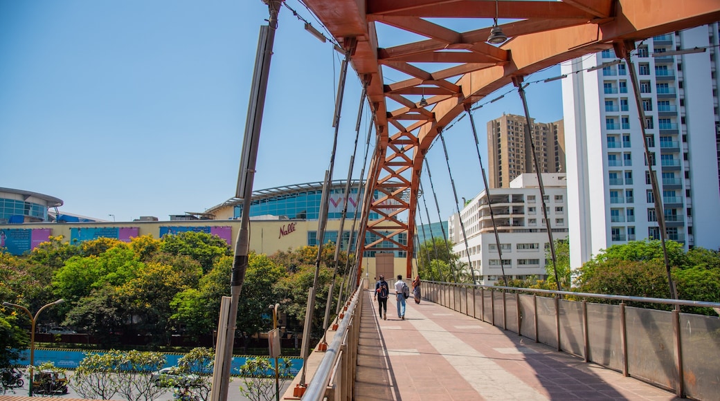 Thane showing a city and a bridge as well as a couple