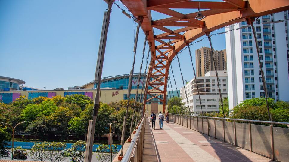 Thane showing a city and a bridge as well as a couple