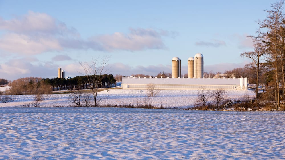 Winter rural landscape with large farm buildings seen in the Bellechasse county during a sunny morning, Saint-Vallier, Quebec, Canada