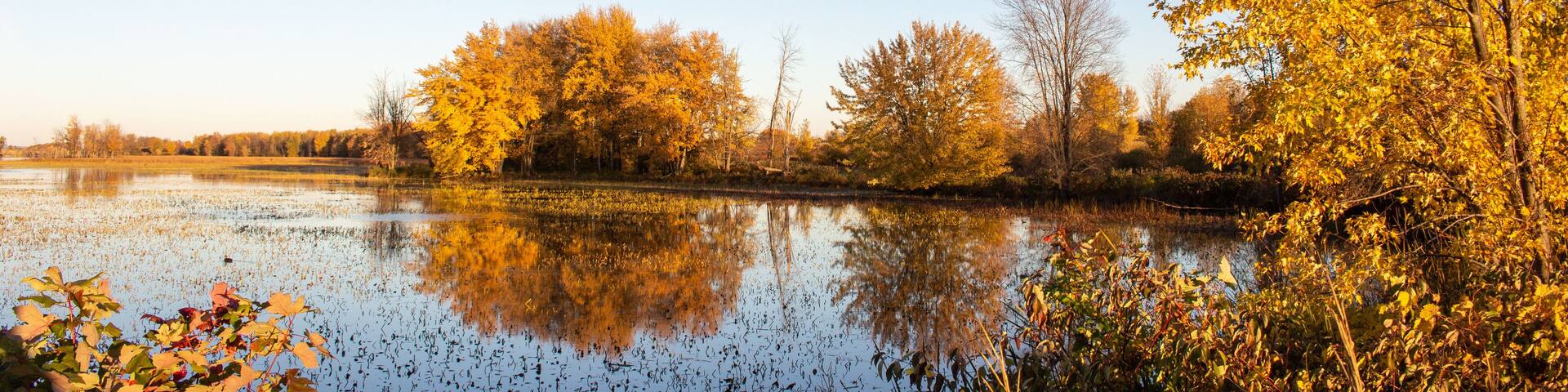 A calm lake surrounded by autumn trees reflecting in the water.