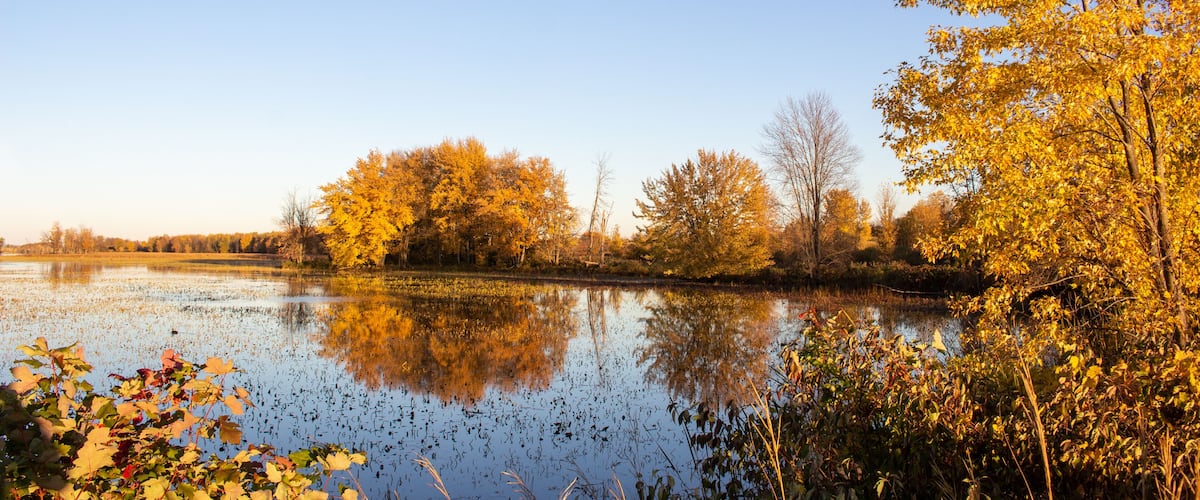 A calm lake surrounded by autumn trees reflecting in the water.