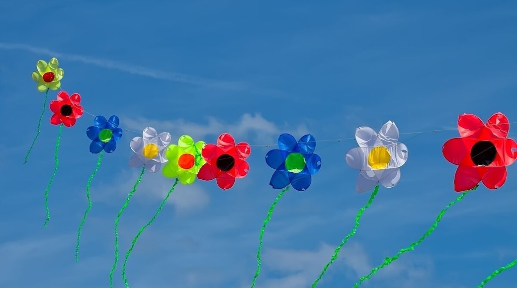 Colourful & Interestng subject against a blue sky