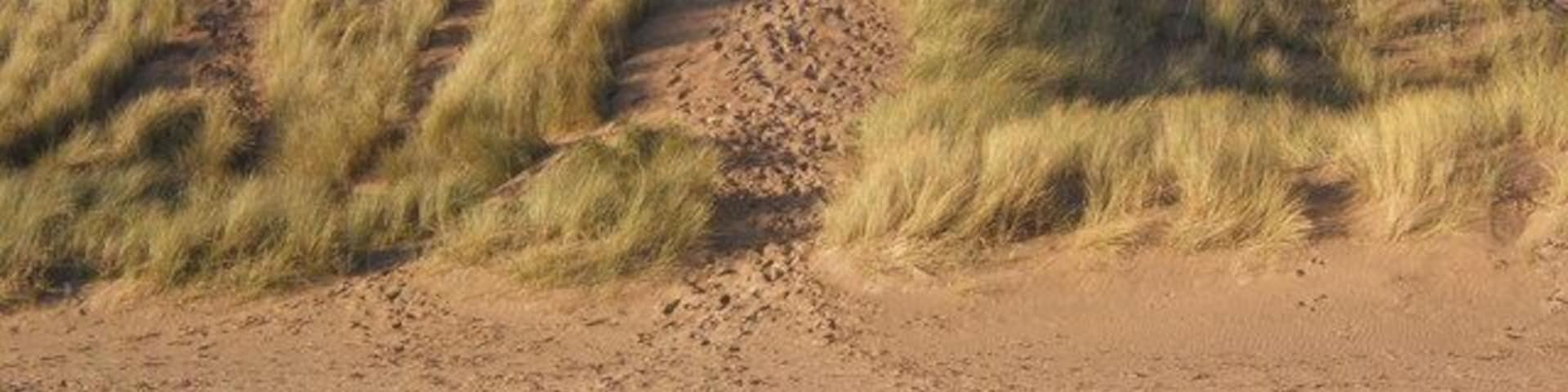 Dunes near Haverigg