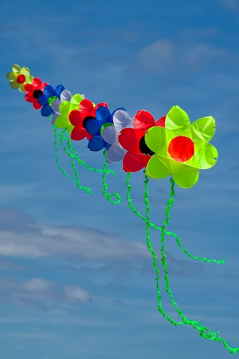 Colourful & Interestng subject against a blue sky