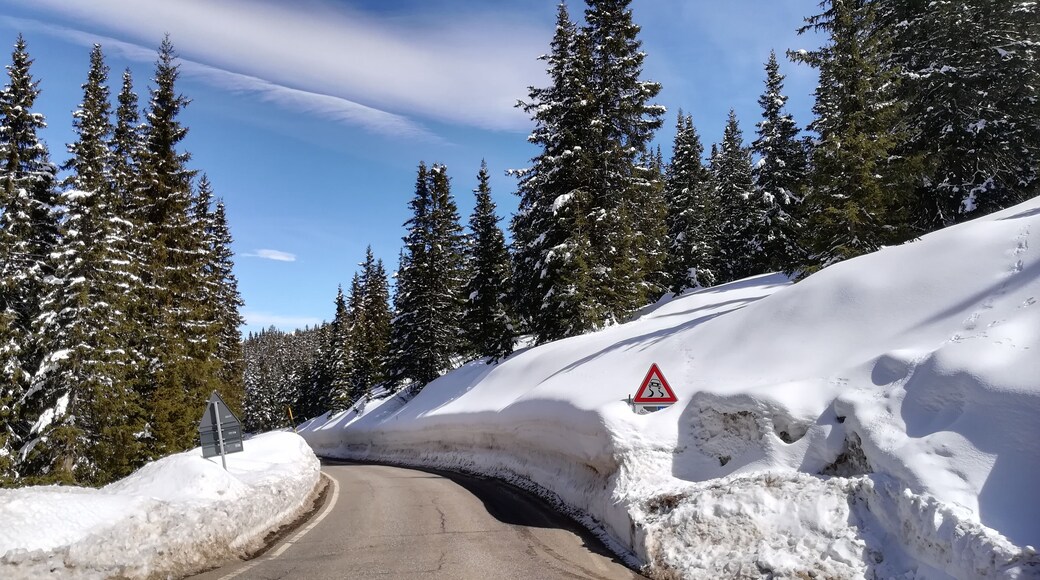Der Jaufenpass oder einfach Jaufen (italienisch Passo di Monte Giovo) ist ein Gebirgspass in Südtirol (Italien).