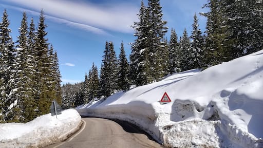 Der Jaufenpass oder einfach Jaufen (italienisch Passo di Monte Giovo) ist ein Gebirgspass in Südtirol (Italien).